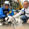 準備始まってますよう