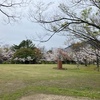 芝生広場の木々