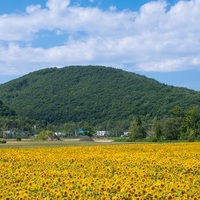 スピッツ 実はかっこいいバンド スピッツ のカッコイイロックな曲を紹介 はやぶさになれたら