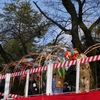 宇多須神社「南京玉すだれ」