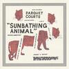 Sunbathing Animal/Parquet Courts（2014）今日のDMM月額レンタル日記。#83