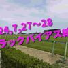2024,7,27～28 トラックバイアス結果 (新潟競馬場、札幌競馬場)