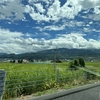 お盆