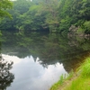 トトロハウスの池（仮称）（三重県伊賀）