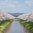 アンテナ−Antenna-