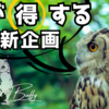 生き物が好きですか？皆が得する動物愛護企画