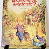 絵本紹介♪　第百六十四回　ぼくのいもうとみなかった？　マシュー・プライス