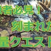 【MHWアイスボーン】 上級者必見！装飾品救済！神イベントクエスト「鳴神上狼、荒事を成す」#16 【攻略・プレイ日記】