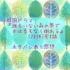 韓国ドラマ『誰もいない森の奥で木は音もなく倒れる』(2024)全8話 ネタバレあり感想