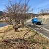 西法寺池（兵庫県淡路）