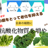 身体の酸化【さび】を防ぐための生活習慣とは？