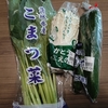 インプラント、失敗？