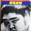 【四柱推命】元大関琴風さん「雨が降れば傘をさせばいい」