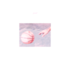  Porches / Pool