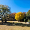 横浜根岸森林公園　ドルフィン　三渓園