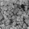 The Intriguing Nano Sized World Of Silver Nanoparticles In Nanoscience