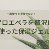 信頼のアロエベラ！贅沢に使った保湿ジェル【エンハンサー】は、一度使うと手放せない！