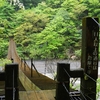 静岡「夢の吊り橋」に連休中の雨天時にいってきたのでまとめ【写真も】