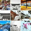 京都ぶらり　本日の一枚　冬の京都2022