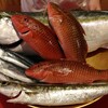 本日の漁港直送の魚たち！【比売知】【鰤】【魳】【飛魚】ほか