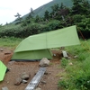 テント泊の楽しみに🎶新アイテム購入を誓う-タープ⛺️編