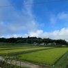 龍頭峡交流の森キャンプ場