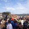 紀州地場産釜揚しらす丼