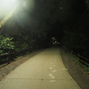 夜の高尾山は危険なの？登れる？　夜景やムササビ、ナイトハイクなどで訪れたい方に向けて紹介