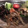 醤油こうじの人参ゴボウ炒め・卯の花を使ったピーマン詰め湯葉あんかけ【つくりおきレシピ】