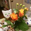 ふたつの団体と戦った子供