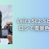 Leica SL2-Sとズミクロンで雪景色を撮影