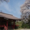 2023.4.5 石川町・今出川の桜