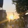 読書『ツーカとゼーキン 知りたくなかった日本の未来』