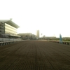 ラッキーの厳選穴馬★21/6/15（水）川崎11R関東オークス（2番レディブラウン）など計2レースの穴馬予想、地の利のある地元馬で大万馬券を狙う☆