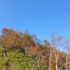 命拾いした紅葉の鷲ヶ岳