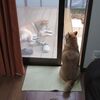 大人気