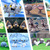 【ポケモンSV】「4つのタイプの大量発生」色違い確率アップ限定イベント！