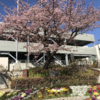 信州上田城の再建