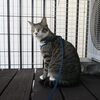 漂う匂い