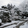 今年最初の雪&#10054;