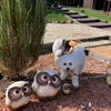 フクロウの森（嵐山渓谷）