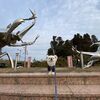 風呂上がりのビールのお供・・　鹿児島県志布志市