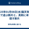  2025年01月08日(水)脳天気に言葉で遊ぶ断片と、真剣に本質を探す断片