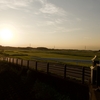 逆井の田園夕景（茨城県坂東市）