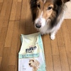 4時に液状の下痢