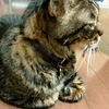 廊下の血痕