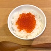 3日目にしてようやくのんびり。美味しかった銀毛鮭いくらごはんとリクエストされた白味噌のお雑煮。