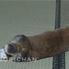 今どこに立っているのか