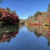 紅葉ピークの軽井沢＊雲場池