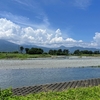 酒匂川と周辺の水路を散策 水音と紫陽花